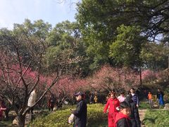 -团城山公园