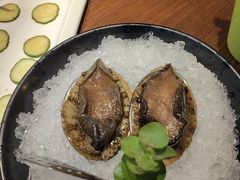 鲜活六头鲍-东海怡品海鲜豆捞(舟宿夜江店)