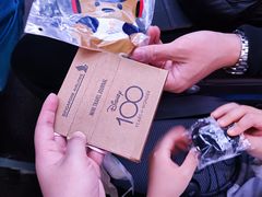 -新加坡航空公司(ION)