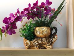 景观位-华莱士炸鸡汉堡(重庆邮电大学店)
