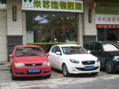 -米苏动物医院·犬猫专科·骨科外科内窥镜