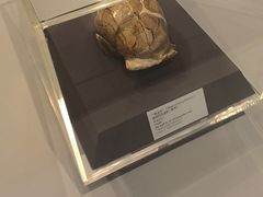 -北京周口店北京人遗址博物馆