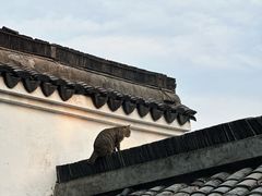 -日出青木·杭帮菜名店