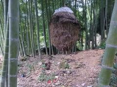 -泽雅七瀑涧景区