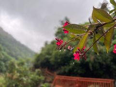 -南海湾森林生态园