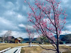 -丽江泸沽湖景区