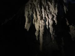 -怀托摩萤火虫洞