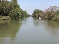 -大湾区中央湿地公园