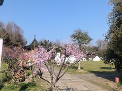 -上海海湾国家森林公园