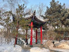 -哈尔滨极乐寺