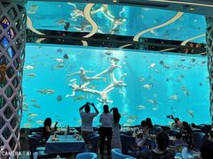 -瑞德姆美人鱼海底演艺主题餐厅(亚龙湾店)