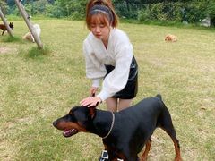 -趣多多宠物公园·宠物训犬学校·宠物寄养