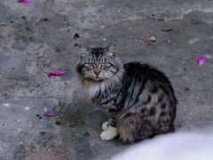 -晓港公园