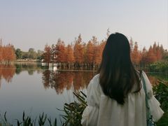 -白鹭湾湿地公园