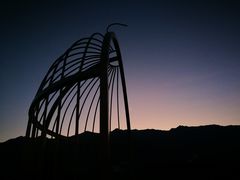 -喵屿·大理花园猫咖