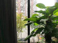 -肴约·花园式餐厅(湖里店)