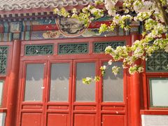 -海棠花溪(元大都城垣遗址公园)