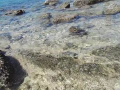 -东姑阿都拉曼海洋公园