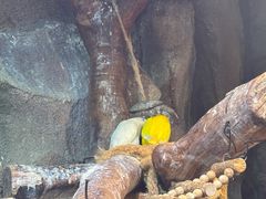 -正佳雨林生态植物园