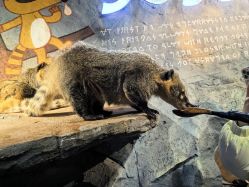 -Zoolung Zoolung动物主题公园(海信广场店)