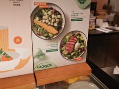 -Wagas沃歌斯(枫蓝国际店)