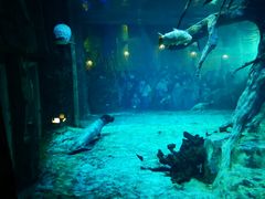 -华夏文旅海洋公园