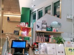 -飞行喵MR PILOT|猫舍·猫咖(静安大融城店)
