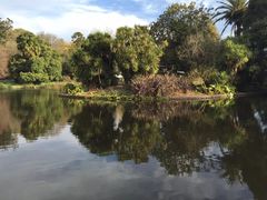 -墨尔本皇家植物园