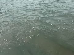 -西湖游船