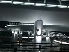 -演武大桥观景平台