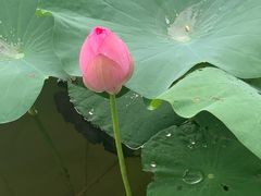 -上海怡沁园度假酒店