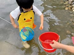 -洪湖家庭农场·团建·露营·会议