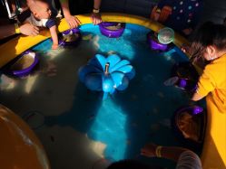 -小蜜蜂农场(凯德七宝购物广场店)