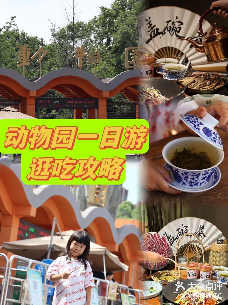 动物园一日游逛吃攻略