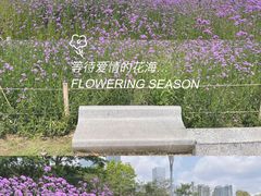 -深圳湾公园(南山区)