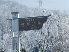-秦岭风景区