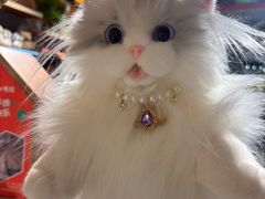 -王扯火胖哥烤生蚝(眉山首店)