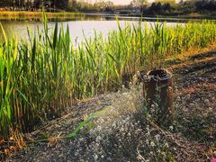 -大兴滨河森林公园