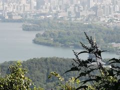 -九曜山