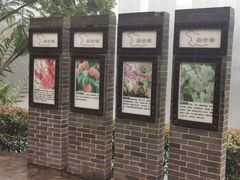 -重庆彩云湖湿地公园