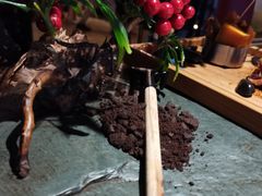 -魔厨私房菜(观音桥店)