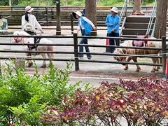 -贵州森林野生动物园