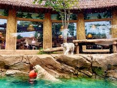 -郑州银基国际旅游度假区