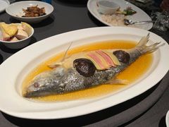 清蒸鲥鱼-望乡楼上海菜(日月光店)