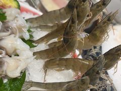-红鼎豆捞·专注品质海鲜20年(宝丰路店)