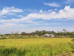 -小岭南壹号院私房菜
