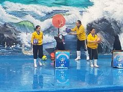 -多彩贵州城极地海洋世界