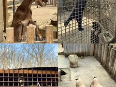 -水上乐园·欢乐世界