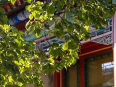-北京颐和宾馆