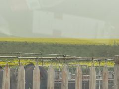 -扁都口生态休闲旅游区